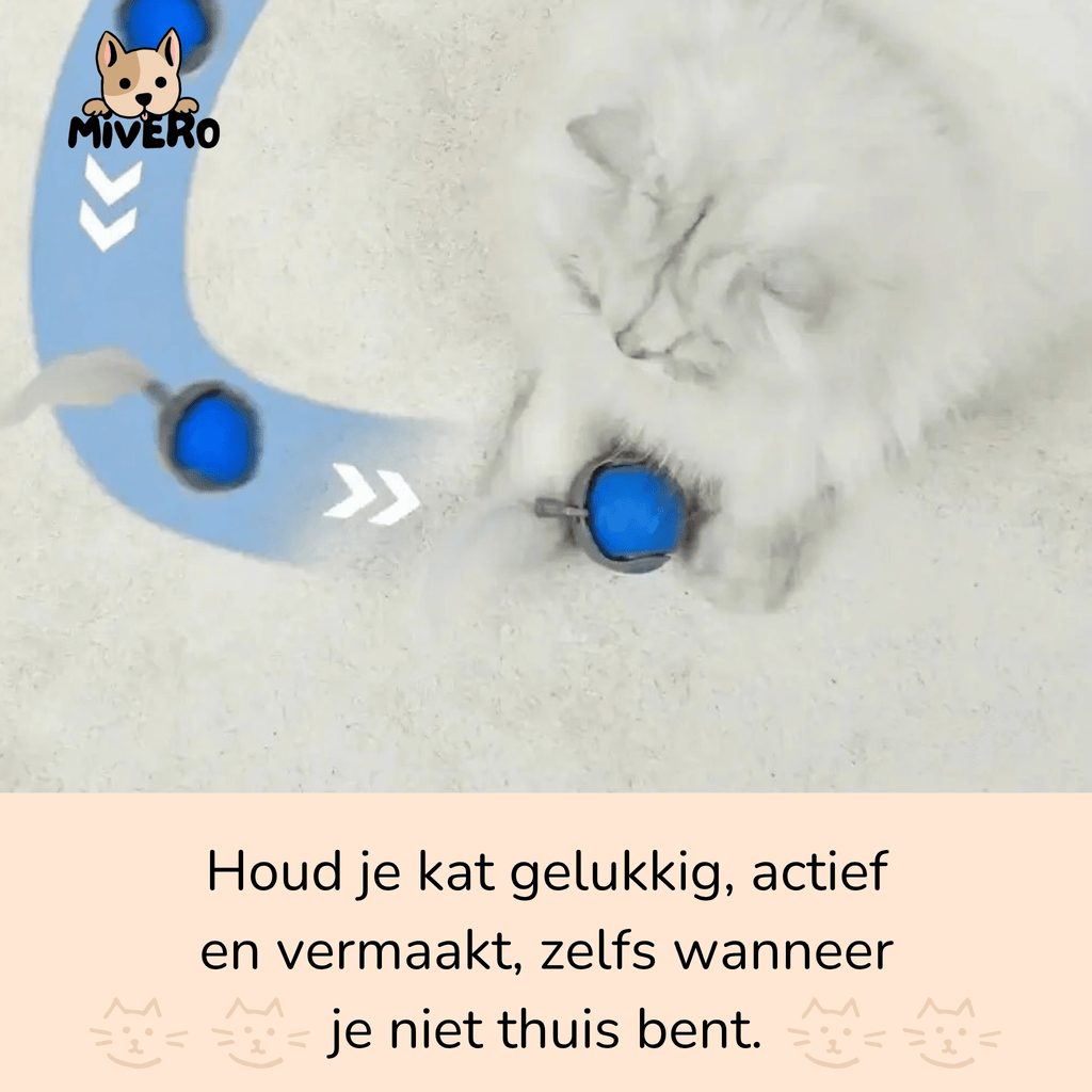 Zoomball 2.0 - Houdt katten actief en speels - Mivero