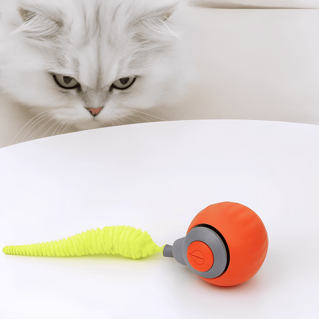 Zoomball 2.0 - Houdt katten actief en speels - Mivero