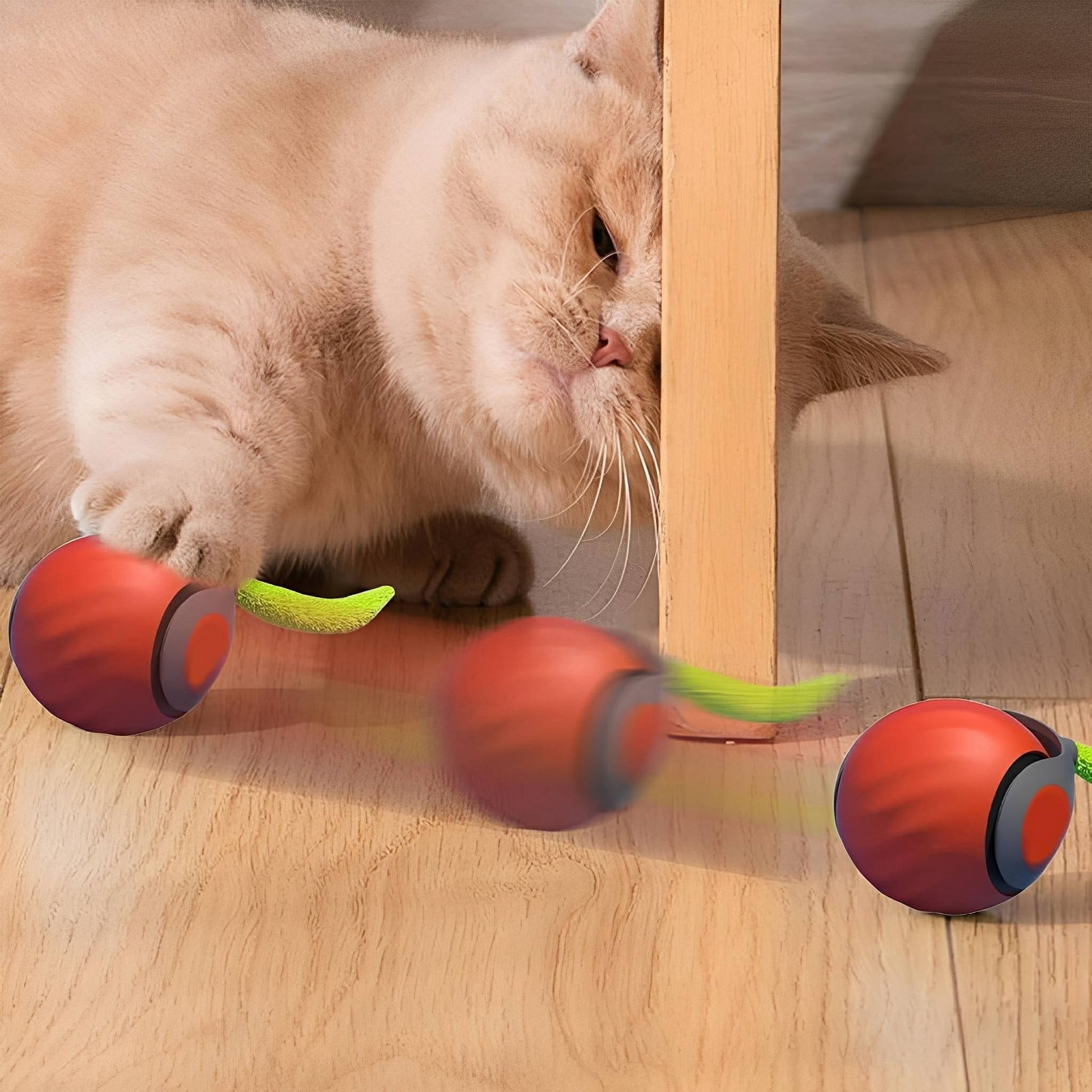 Zoomball 2.0 - Houdt katten actief en speels - Mivero
