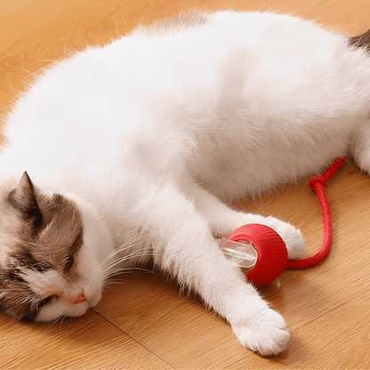 ZoomBall - Kattenspeelgoed Interactief Automatisch USB Oplaadbaar - Mivero