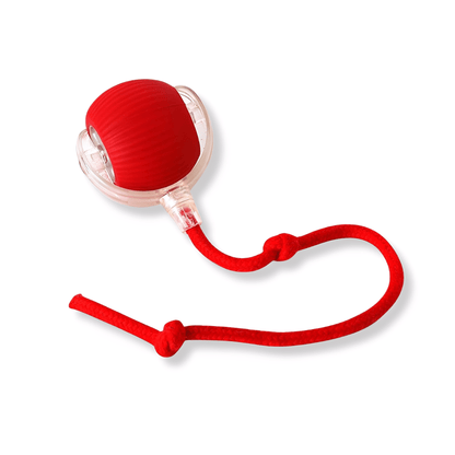 ZoomBall - Kattenspeelgoed Interactief Automatisch USB Oplaadbaar - Mivero