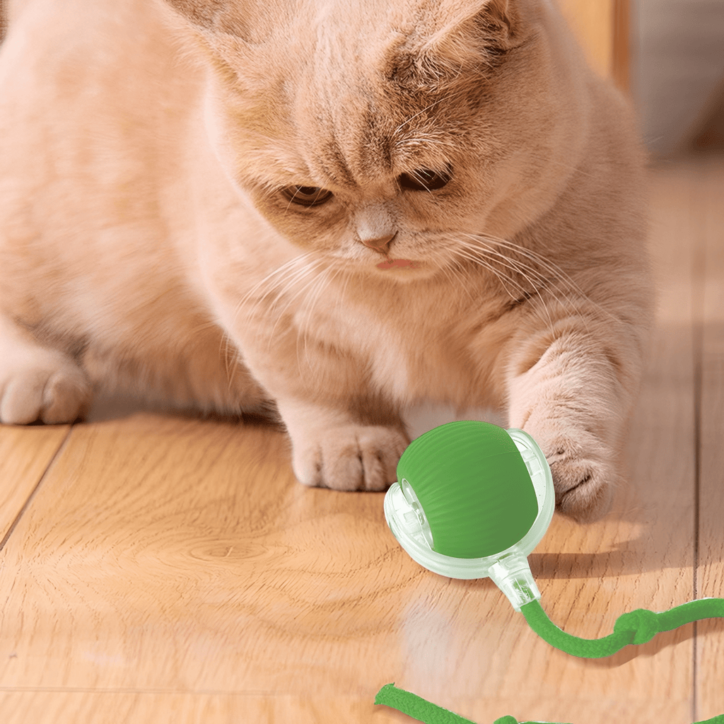 ZoomBall - Kattenspeelgoed Interactief Automatisch USB Oplaadbaar - Mivero