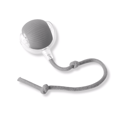 ZoomBall - Kattenspeelgoed Interactief Automatisch USB Oplaadbaar - Mivero